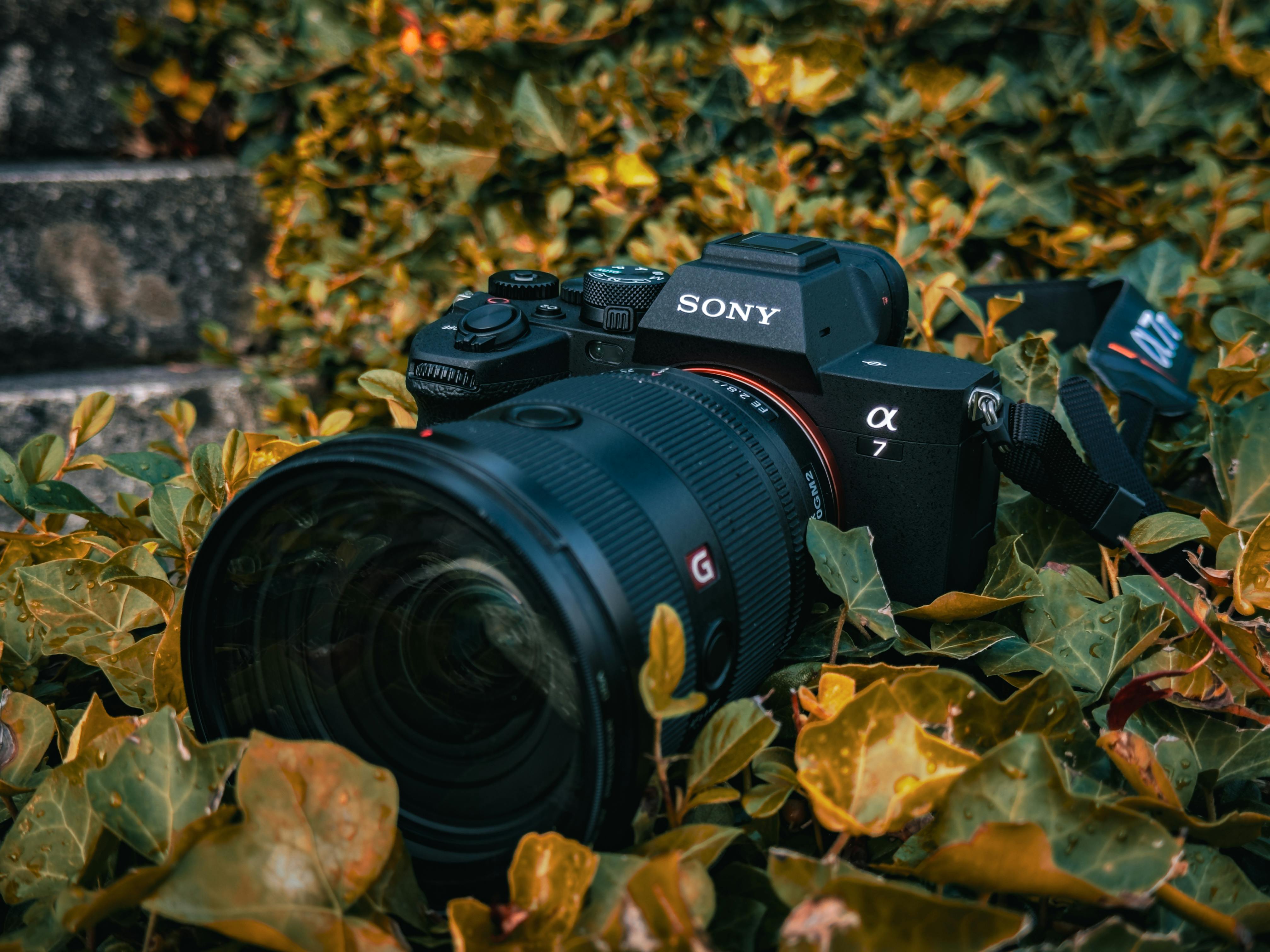 Sony Alpha 7 IV Full-frame Mirrorless Camera