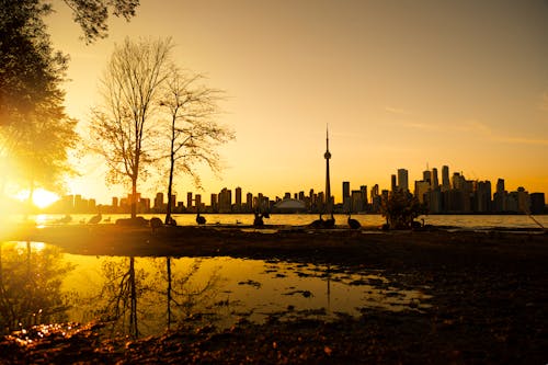 Scenic View Of City During Dawn