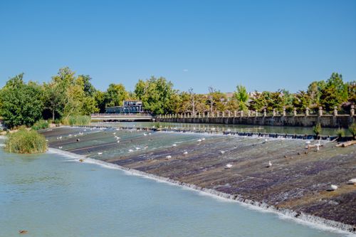 Free Peaceful view of a tranquil waterway surrounded by lush greenery in Aranjuez, Spain, during summer. Stock Photo