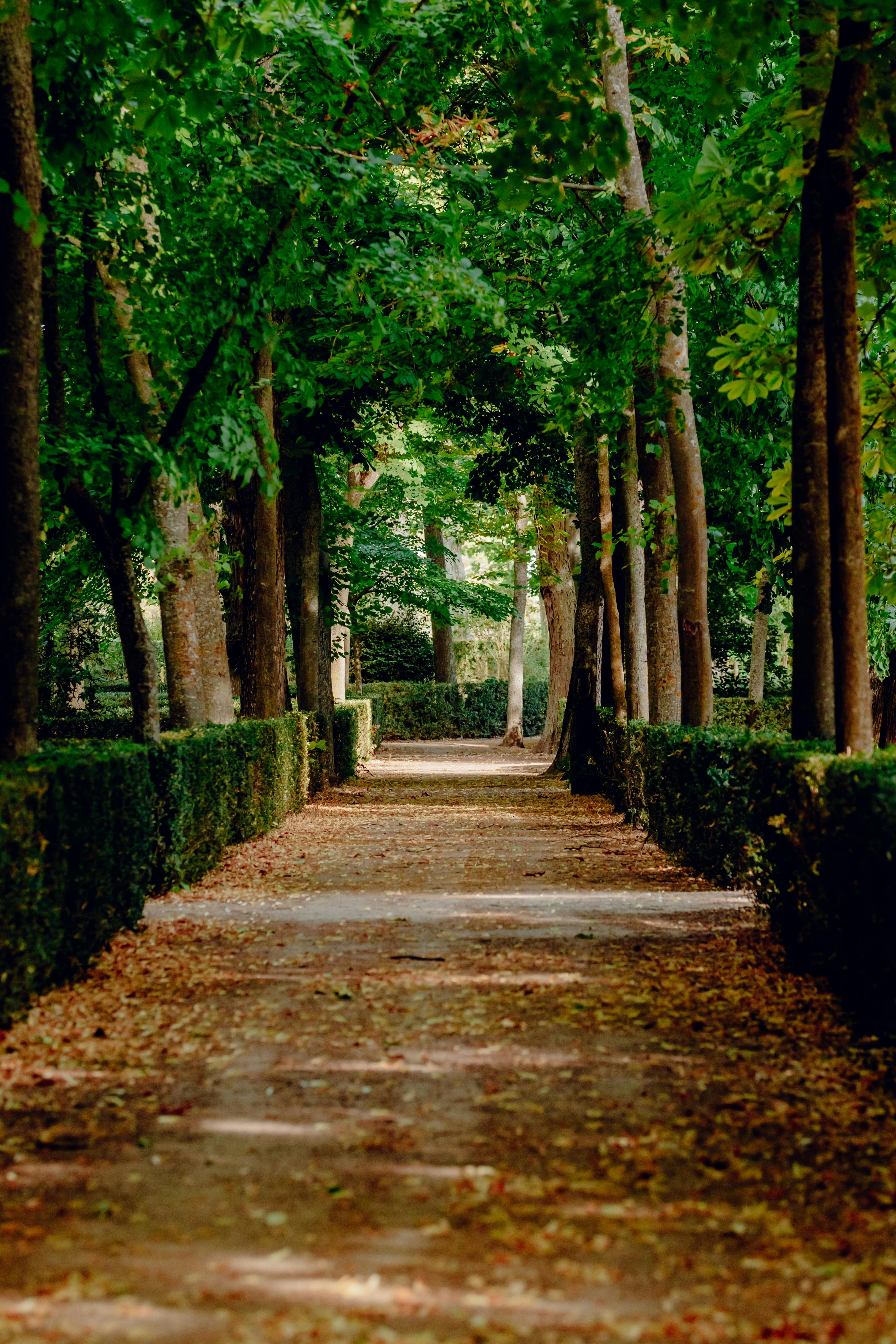 Injury Reports and Squad News: Who’s In and Who’s Out for Real Madrid vs Juventus FC?