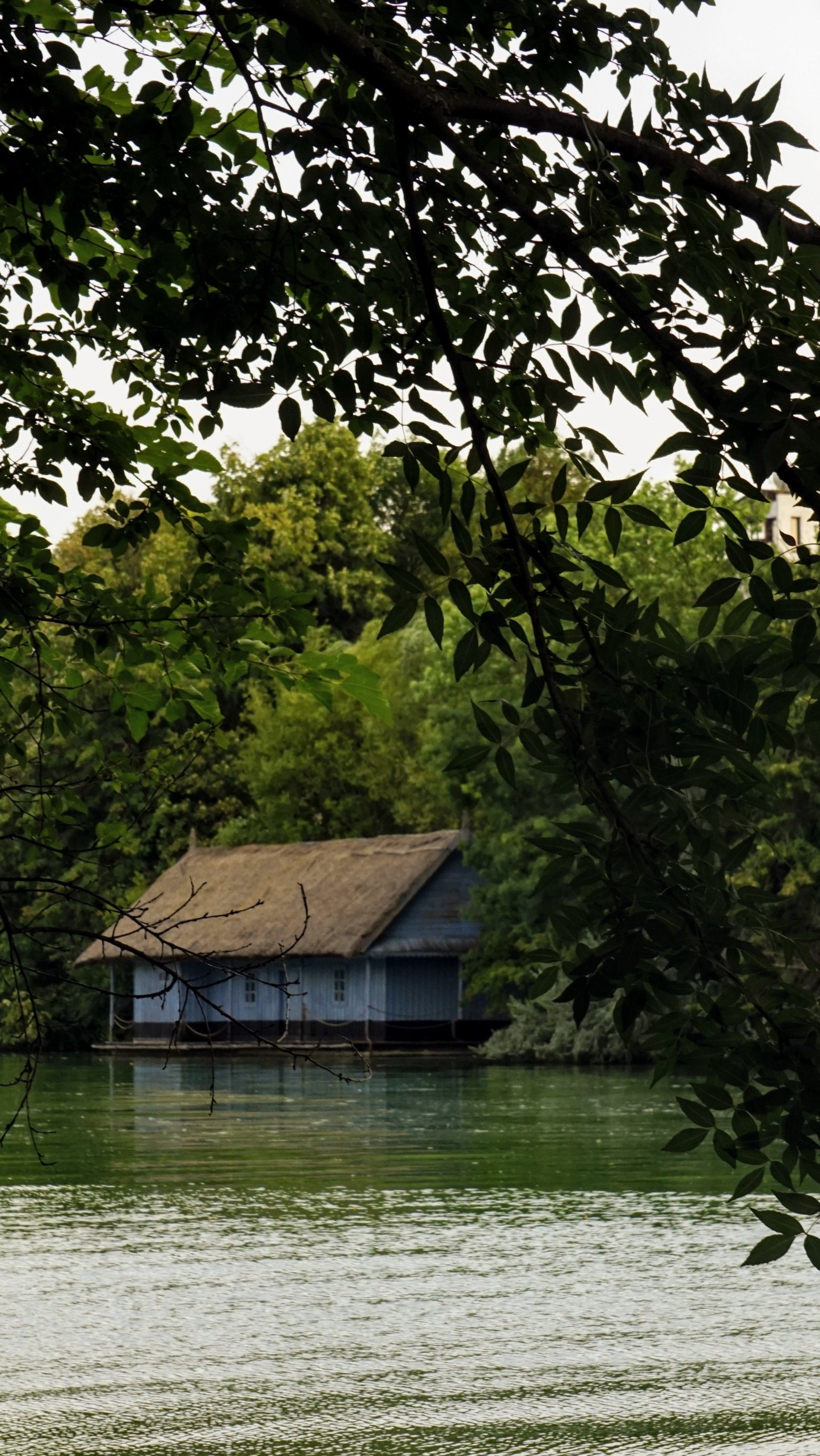 Brown Wooden House Near the Creek With a Bridge · Free Stock Photo