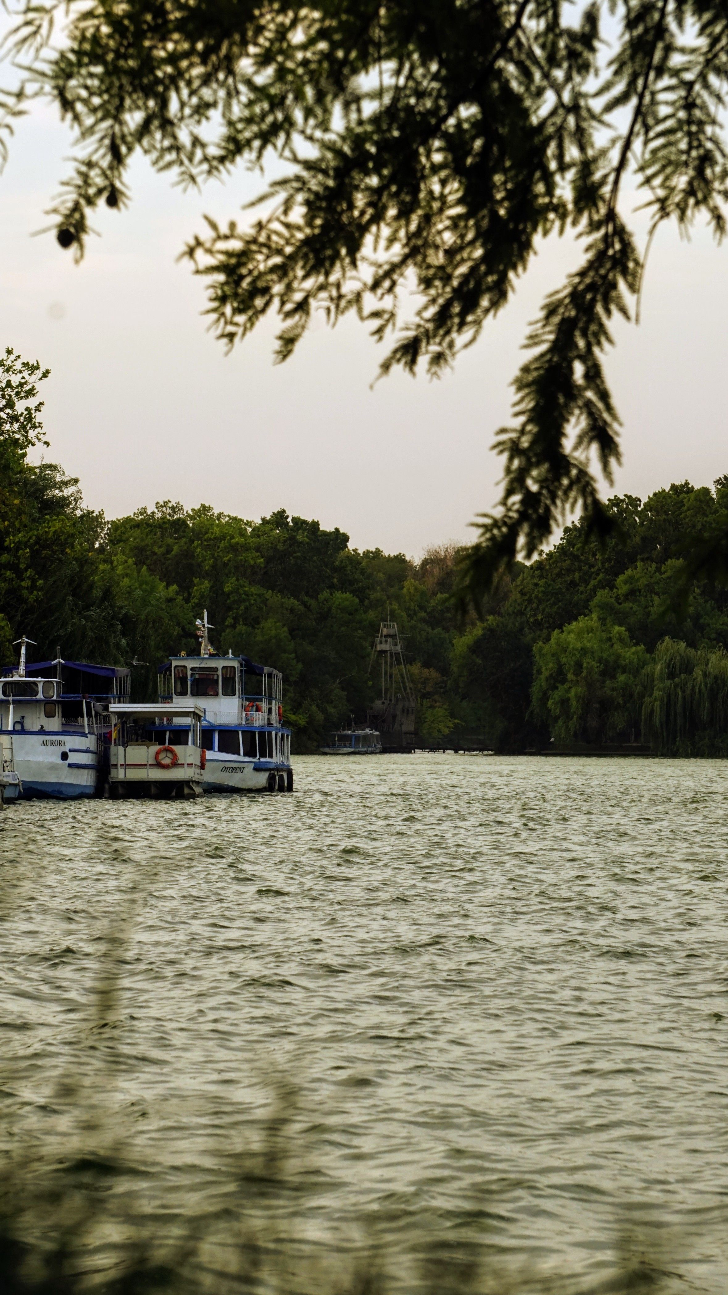 A boat is docked in the water near trees · Free Stock Photo