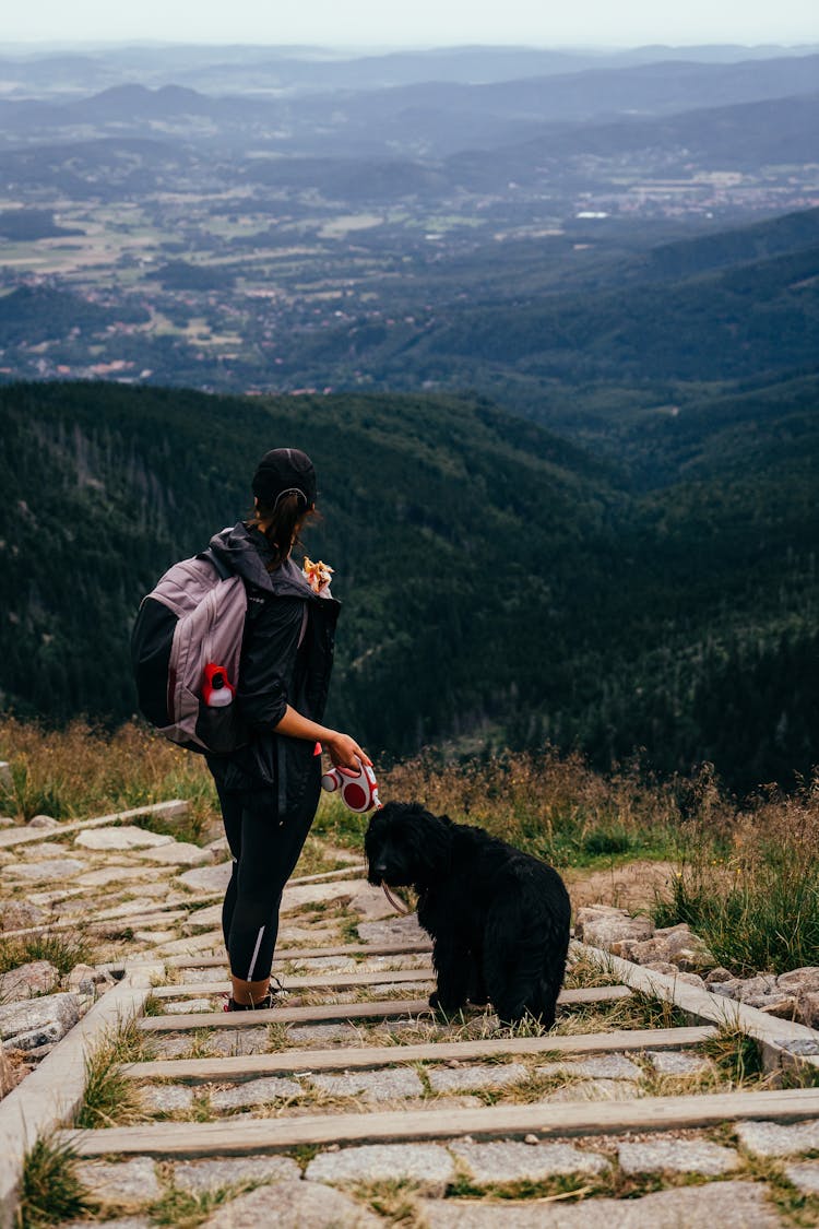 Woman With A Dog Standing On Mountain Area