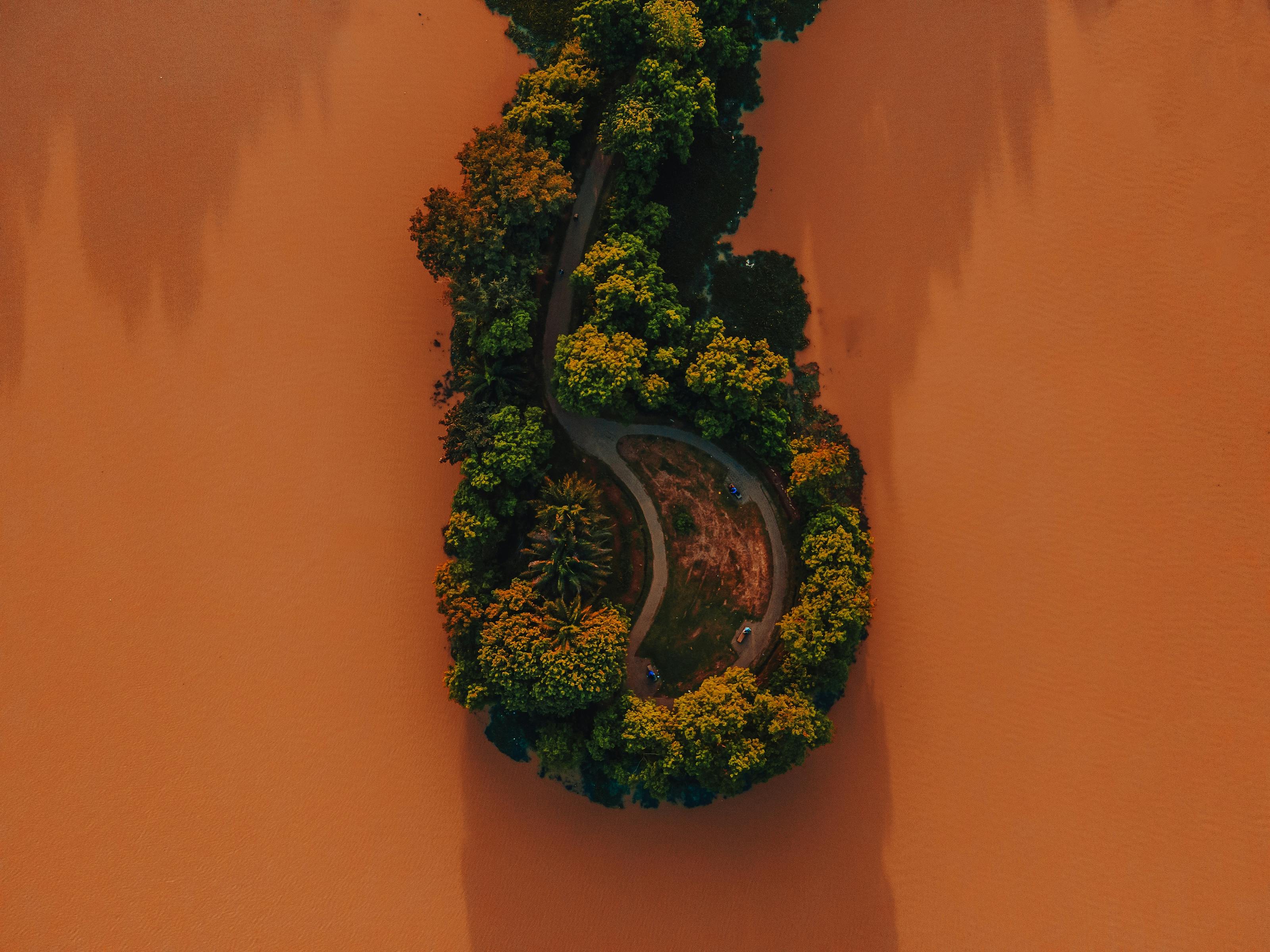 Gratis lagerfoto af afrika, antenne, Botanisk Lagerfoto