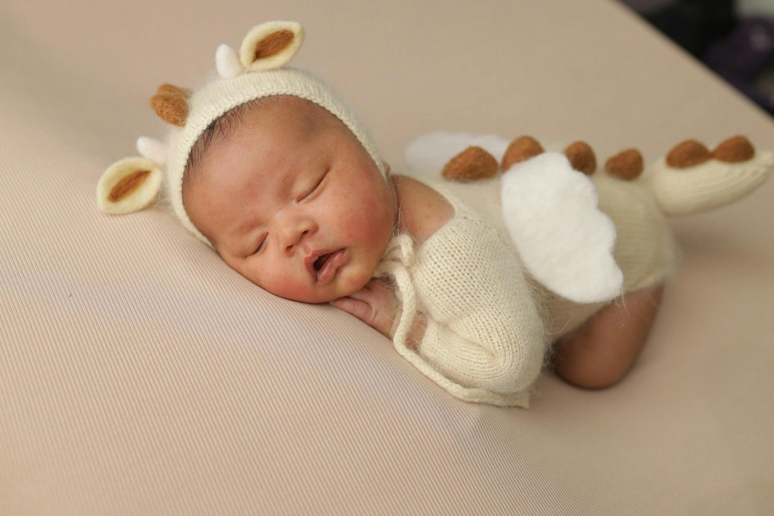 A peaceful newborn dressed in a cute crocheted animal costume, sleeping soundly.
