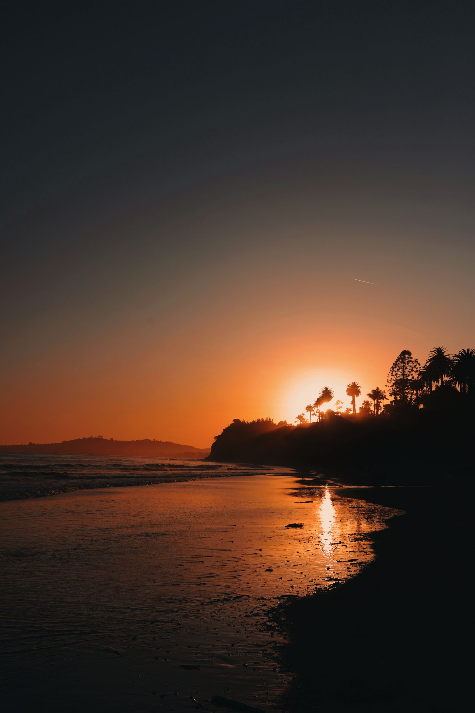 Palm trees silhouetted on a Santa Barbara beach at sunset