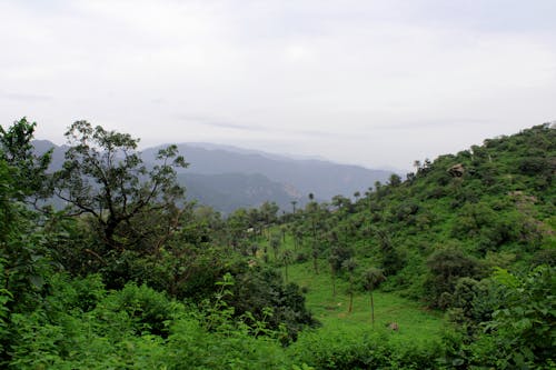 manzara, muson, yeşil içeren Ücretsiz stok fotoğraf