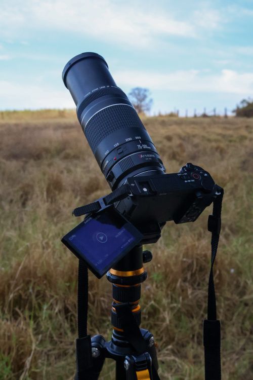 Free Camera with telephoto lens on a tripod set outdoors in a grassy field during the day. Stock Photo