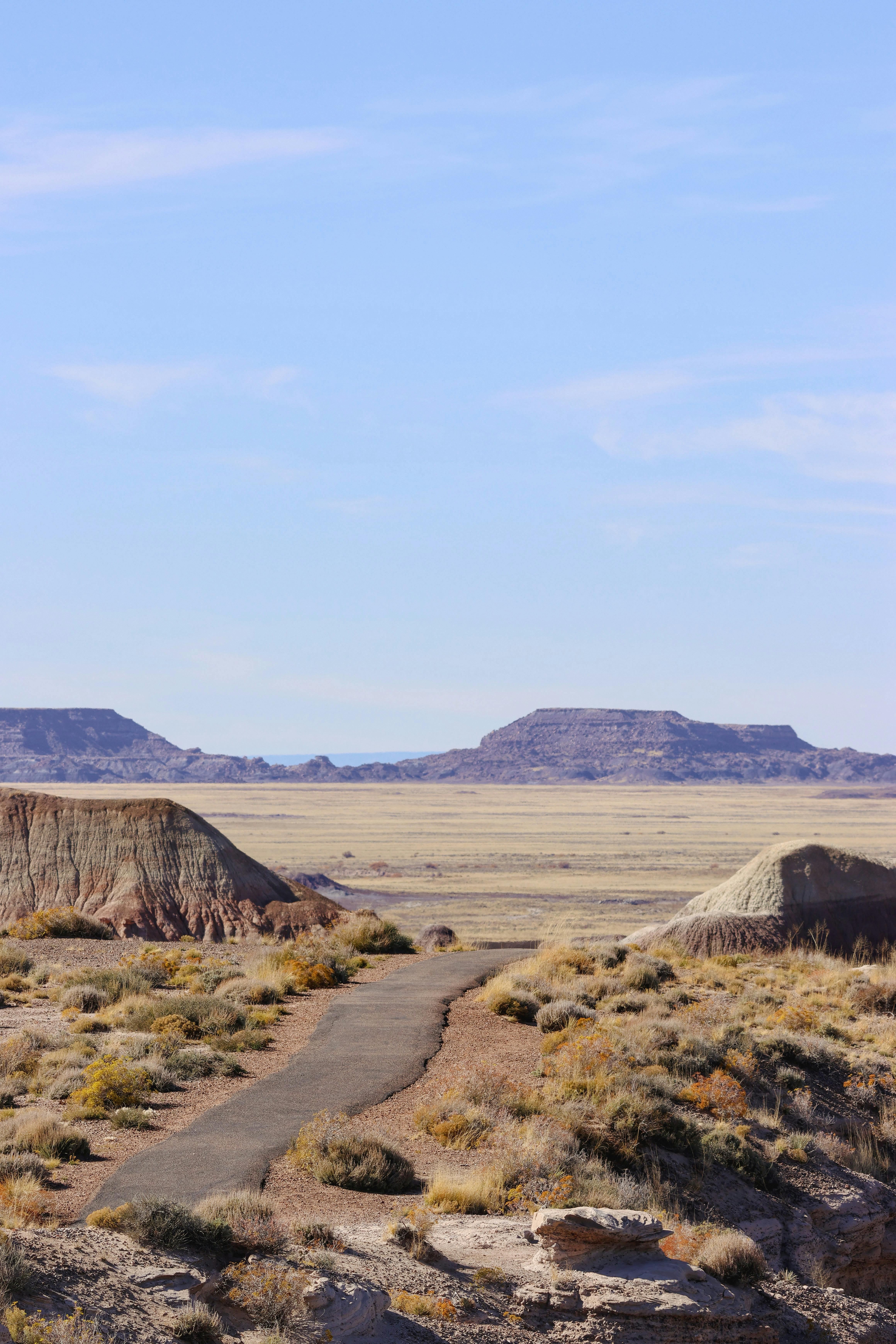 Captivating landscape of Petrified Forest National Park in Arizona showing rugged terrain and vast sky.