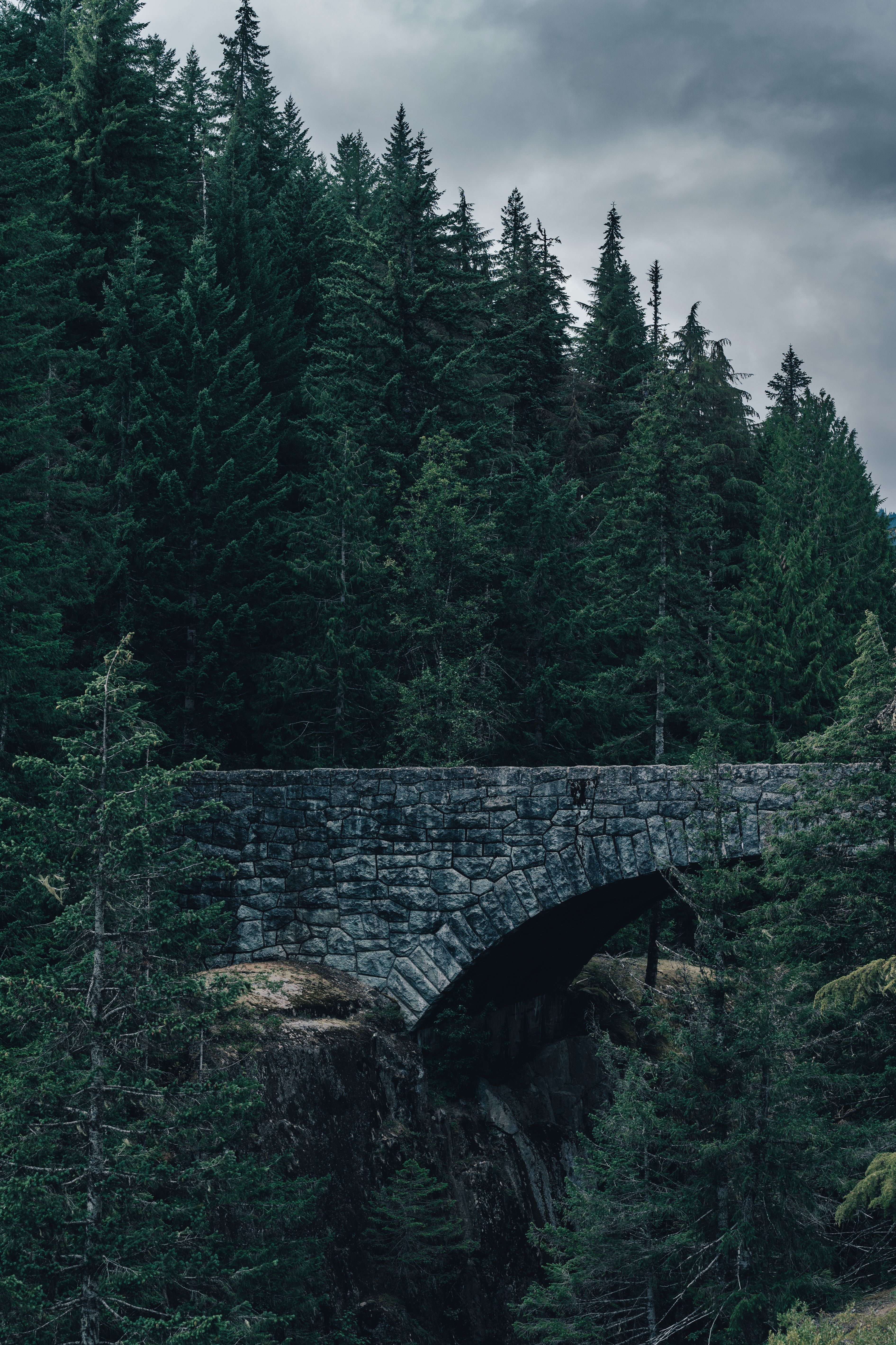 A stone bridge over a forest with trees · Free Stock Photo