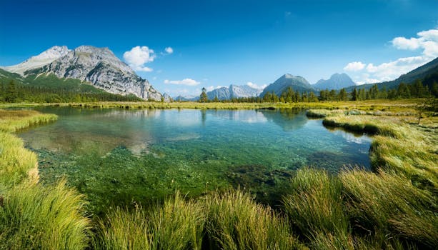 Image by Yudha Dwiyoko Putra