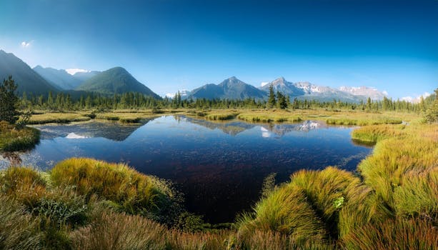 Image by Yudha Dwiyoko Putra