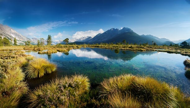 Image by Yudha Dwiyoko Putra