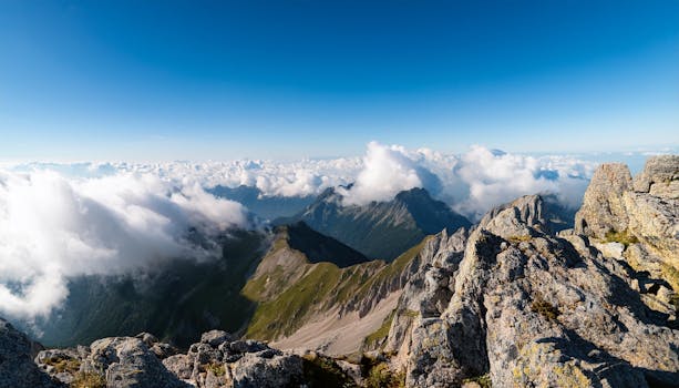 Image by Yudha Dwiyoko Putra