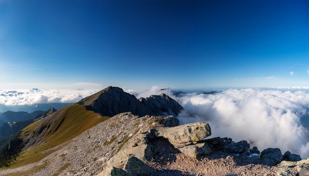 Image by Yudha Dwiyoko Putra