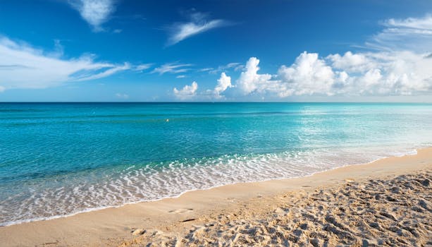 Image by Yudha Dwiyoko Putra