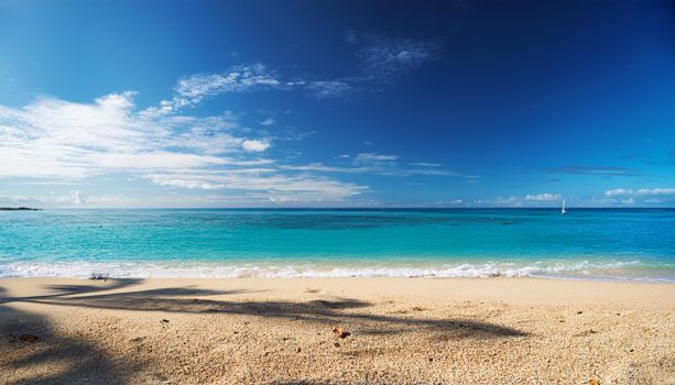 Beautiful tropical beach with turquoise waters and clear blue sky, perfect for relaxation and travel.