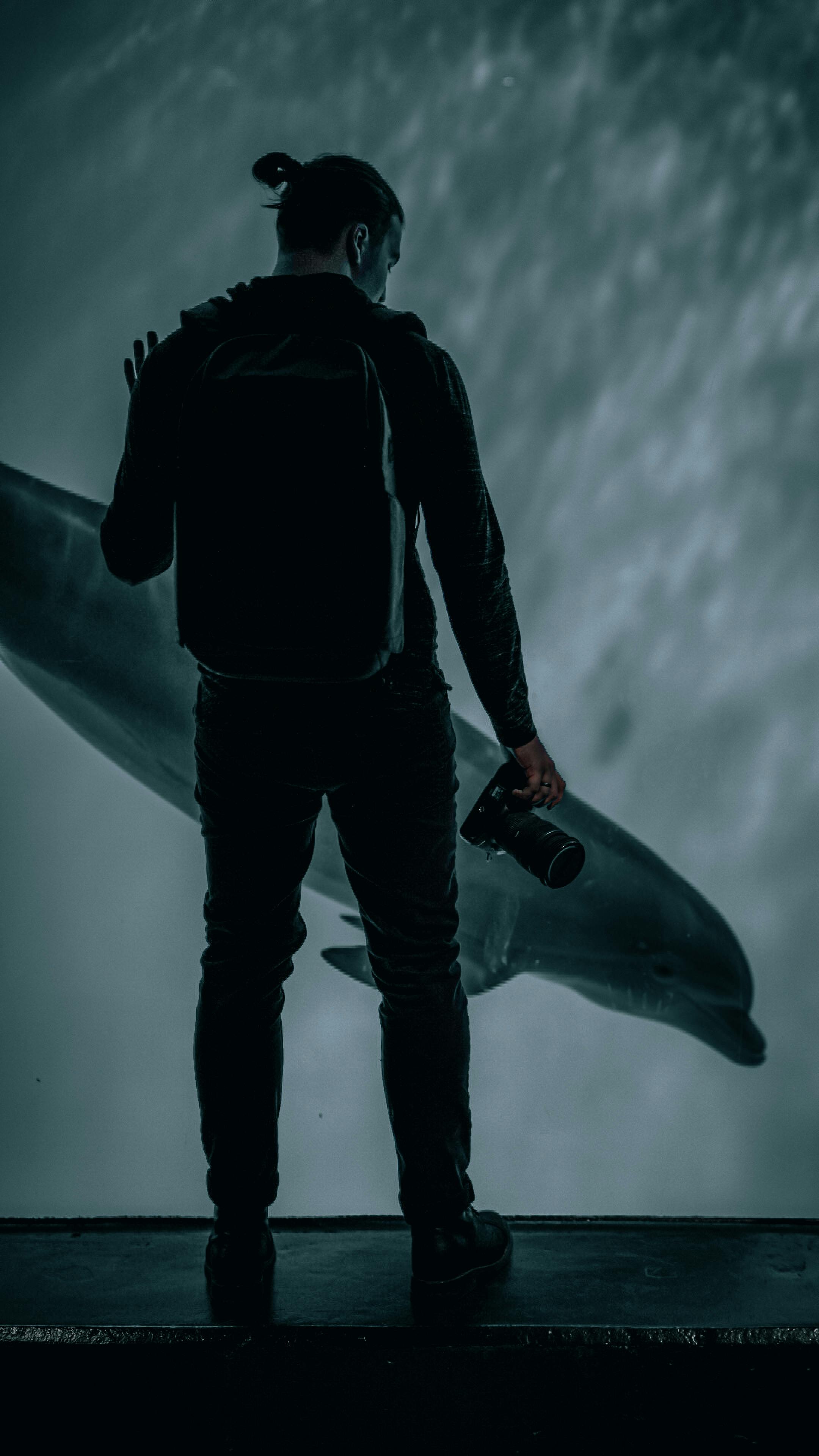 Silhouette of a person with camera observing a dolphin swimming underwater at an aquarium.