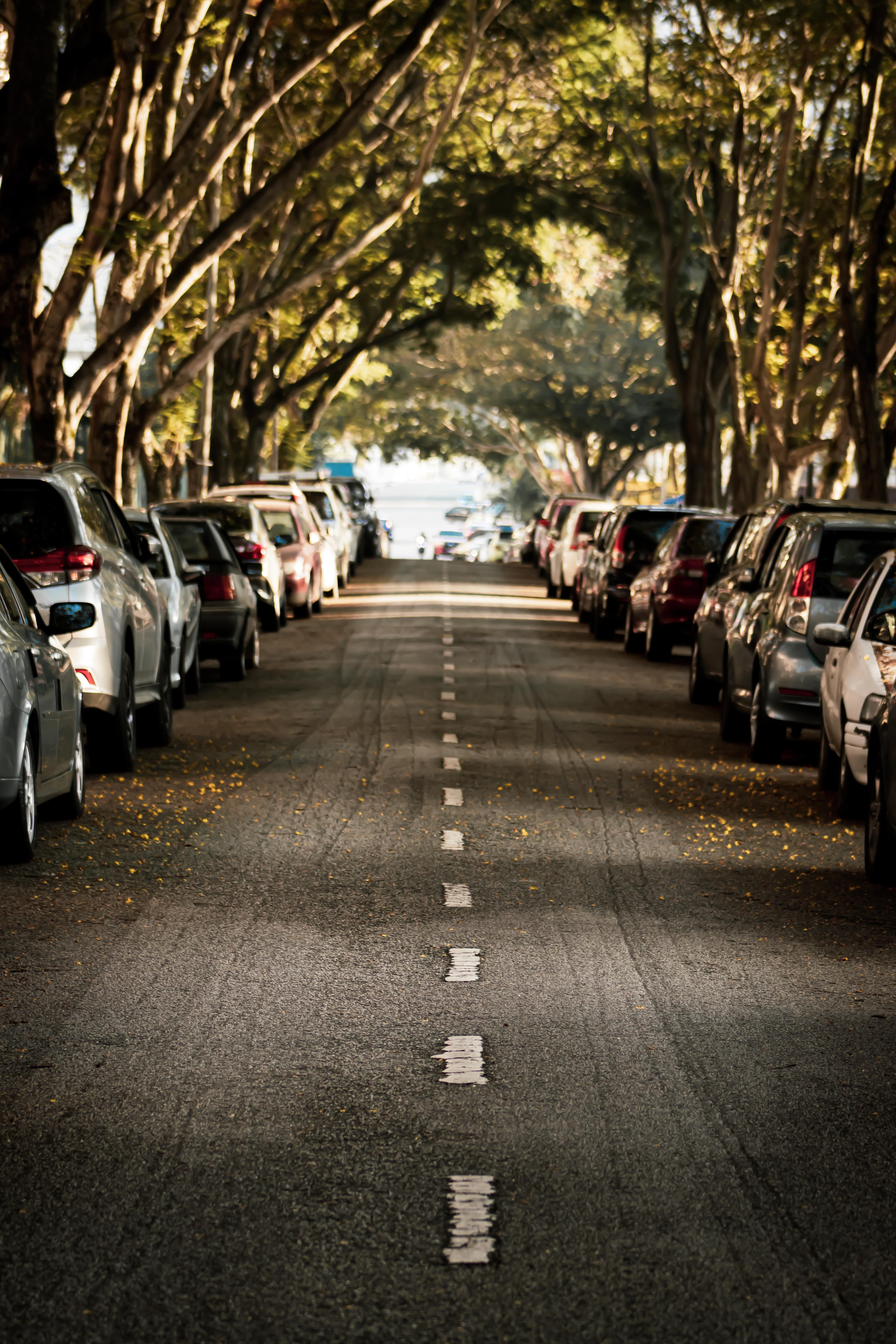 A street lined with parked cars and trees · Free Stock Photo