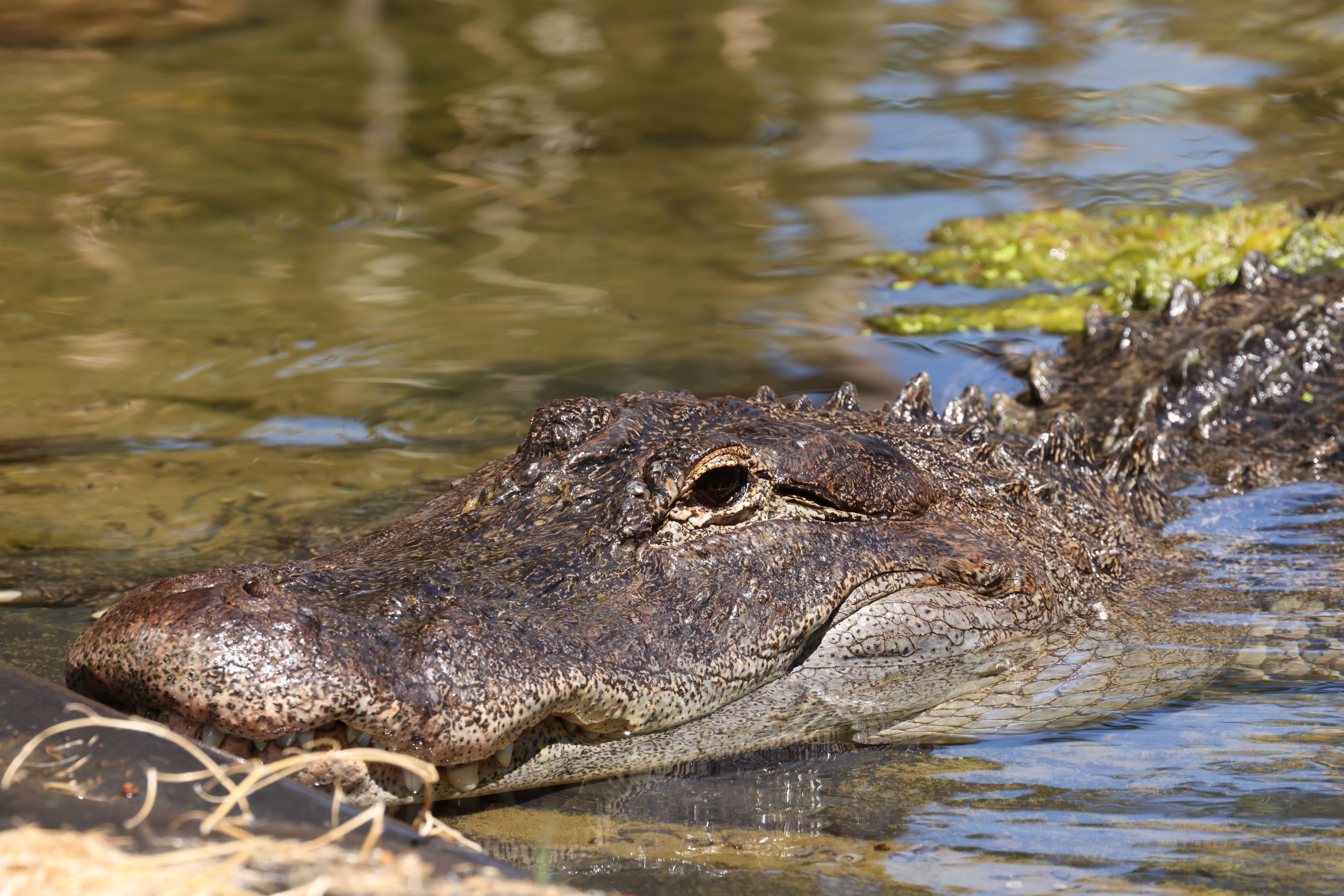 Landmarks in Everglades National Park
