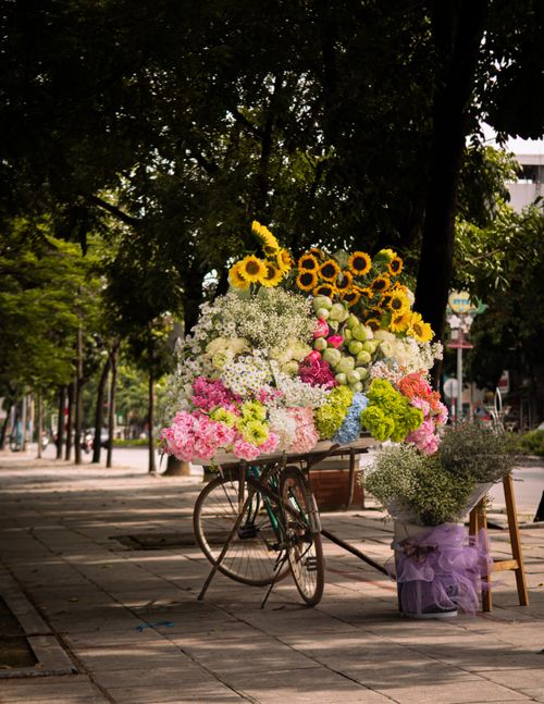 Free Bicycle loaded with vibrant flowers on a quiet city street, showcasing nature's beauty. Stock Photo
