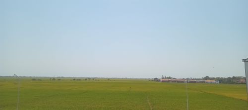 Free farming Stock Photo