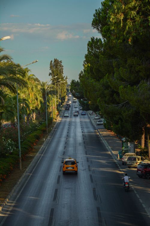 Free Aerial view of vehicles on a tree-lined highway under a clear sky. Stock Photo