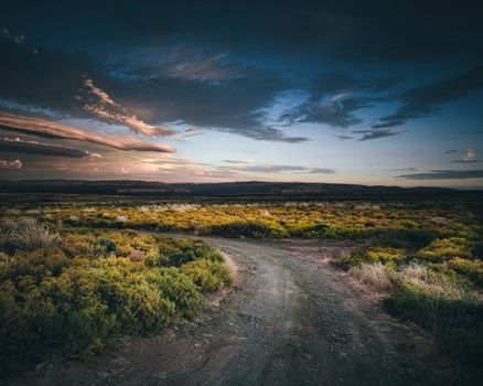A dirt road in the desert at sunset