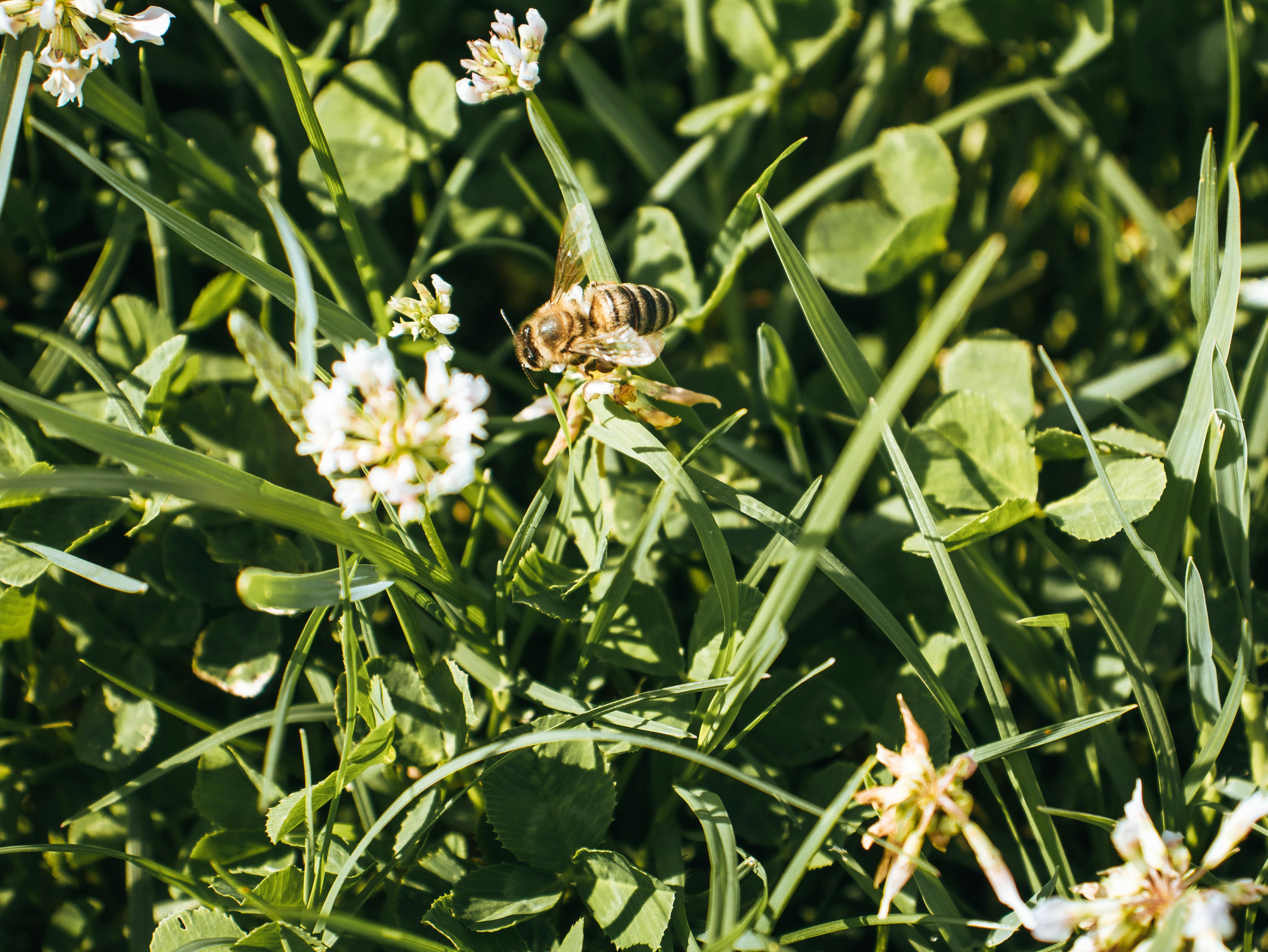 Ark Valley Civics Bee Competition to Send Three Local Students to State — Photo by Hakan Kayahan on Pexels