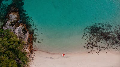 From LA to Atlanta: One Couple's Surprising Love for Lake Beaches and Green Spaces