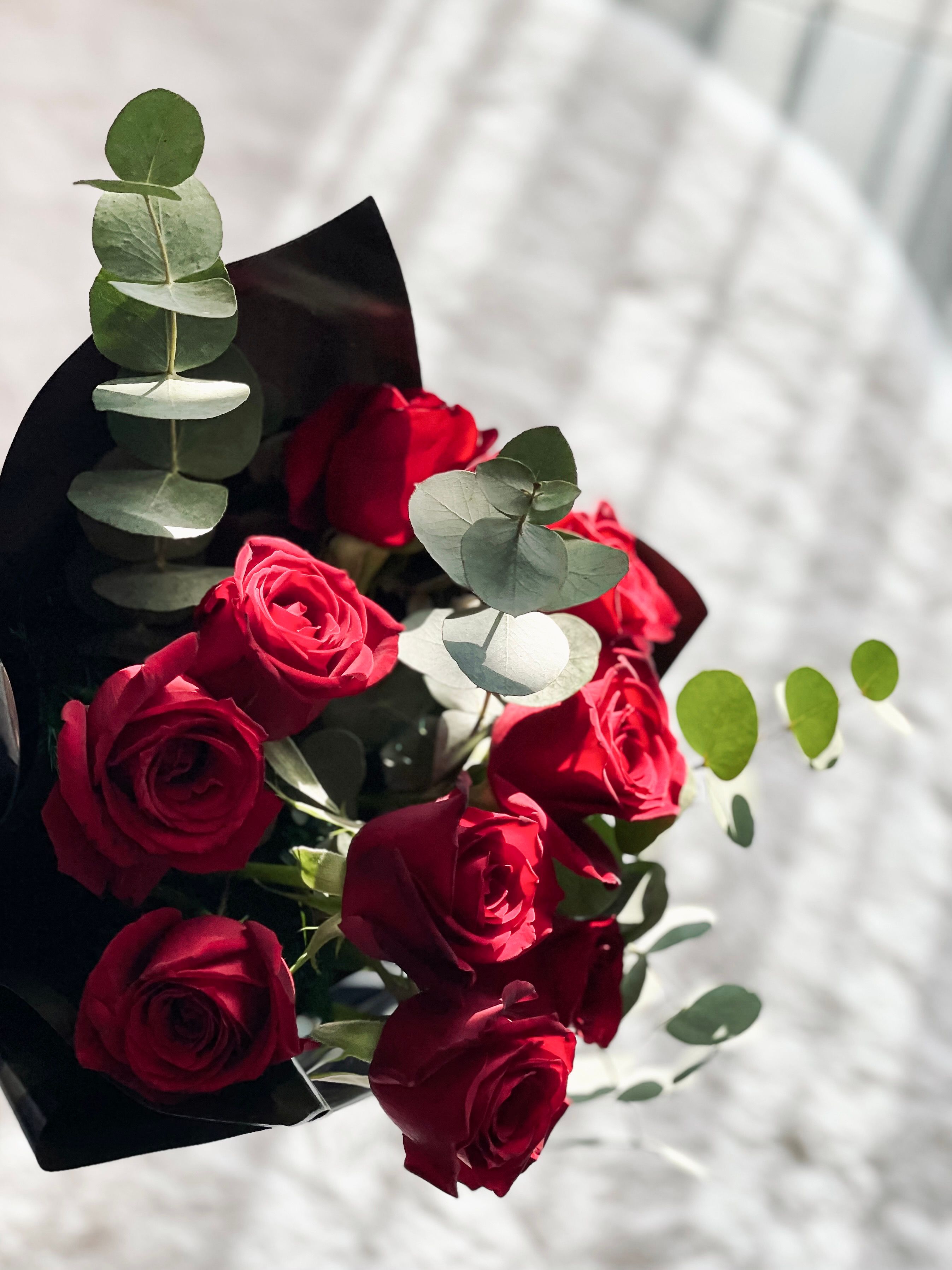 A bouquet of red roses with green leaves · Free Stock Photo