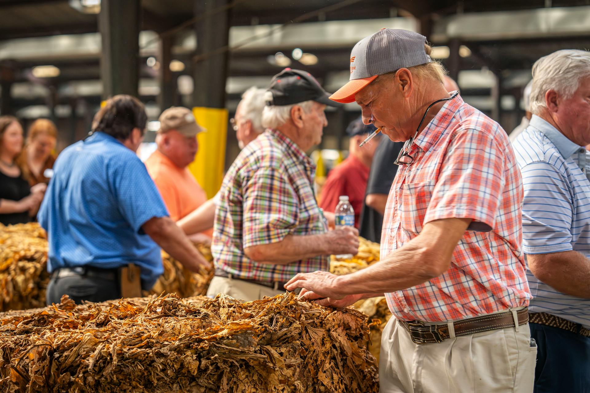 A man is looking at some tobacco in a warehouse