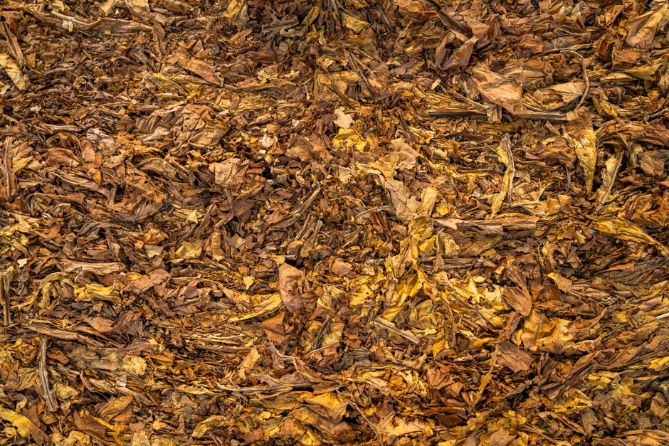Home composting setup with a compost bin, kitchen scraps, and finished compost