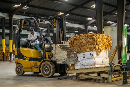 Forklift operator transporting packaged material in an industrial warehouse, showcasing logistics and industry work.