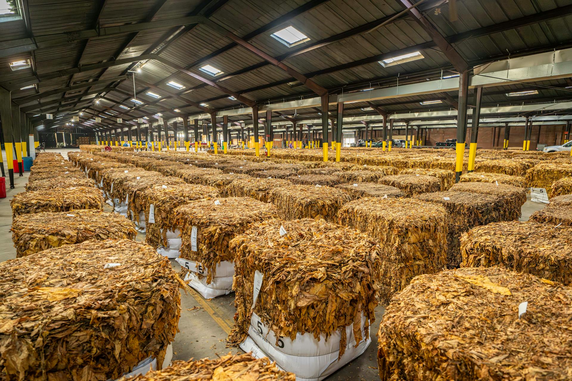 Rows of tobacco bales stored in an expansive warehouse, indicative of agricultural processing.