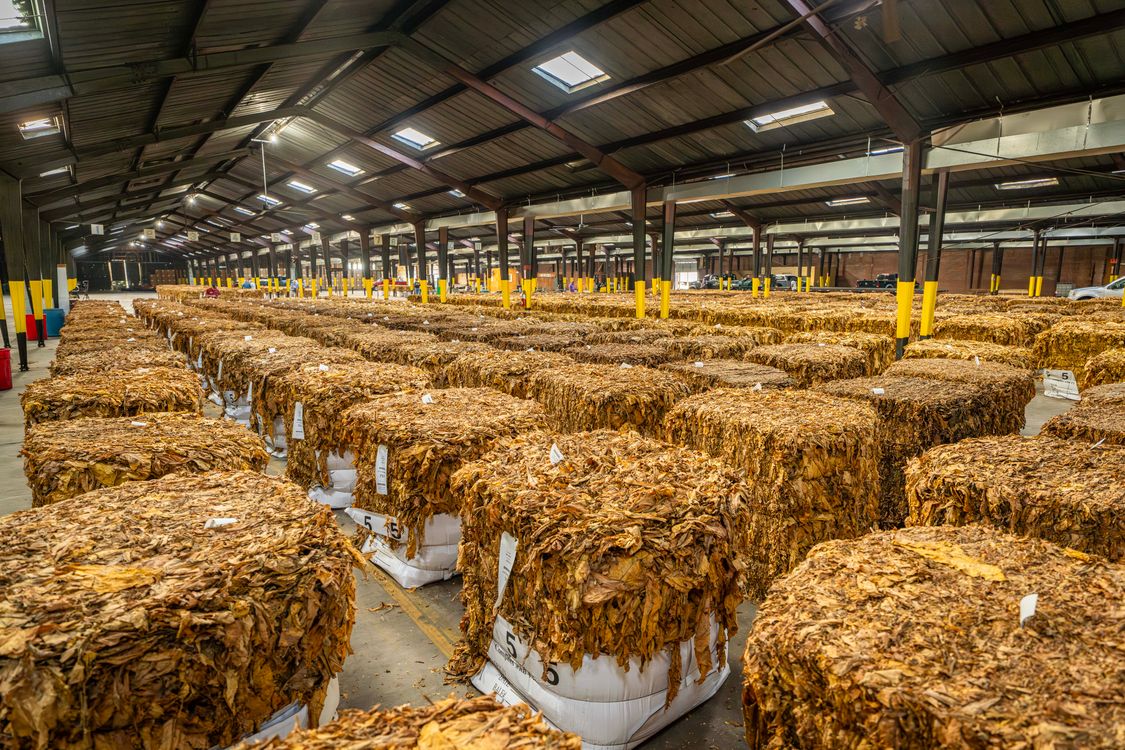 does tobacco naturally have tar What Is Nicotine? Tobacco Nicotine