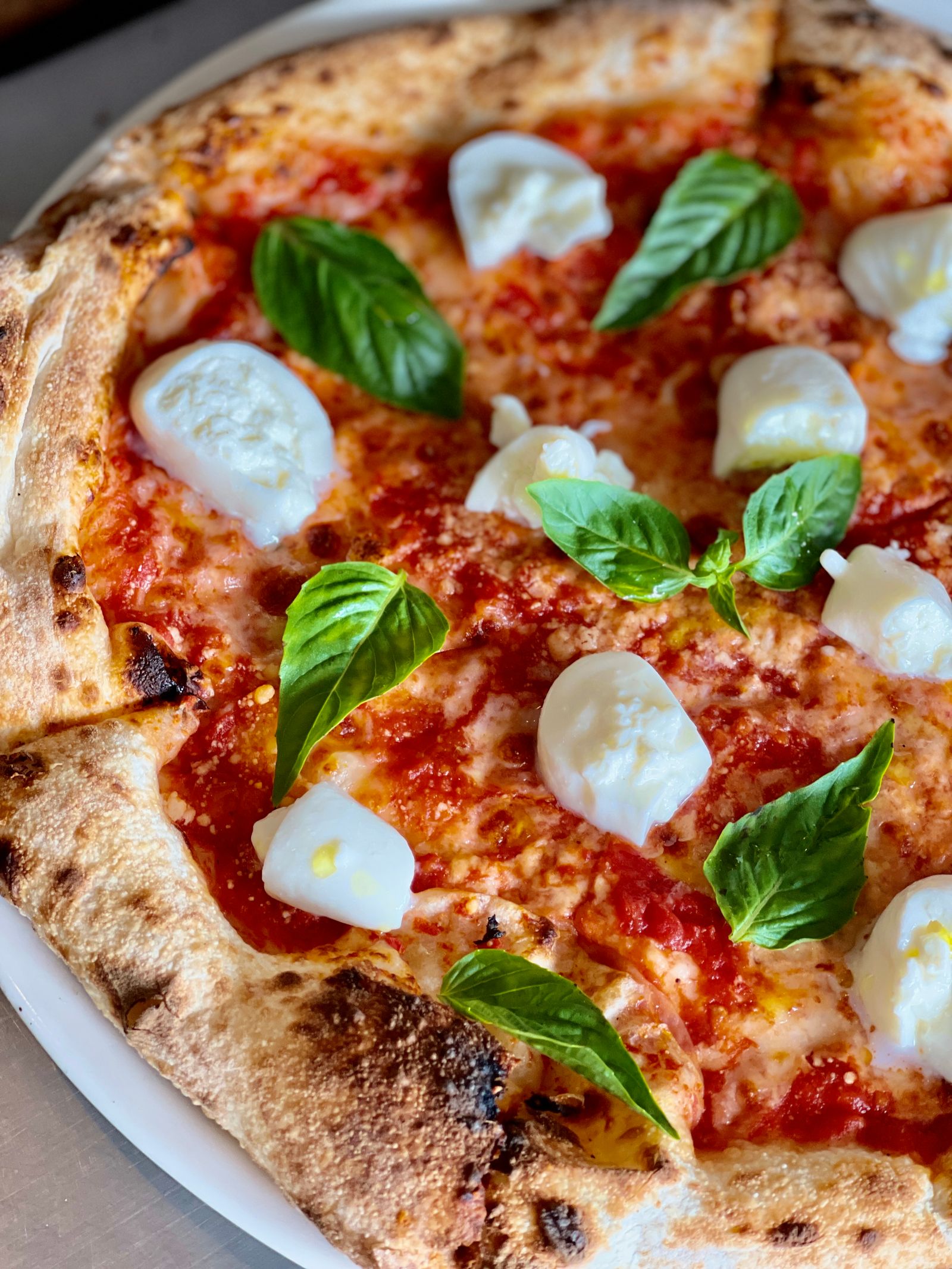 Cornicione di pizza gonfio e scuro di forno, fiordilatte e basilico.