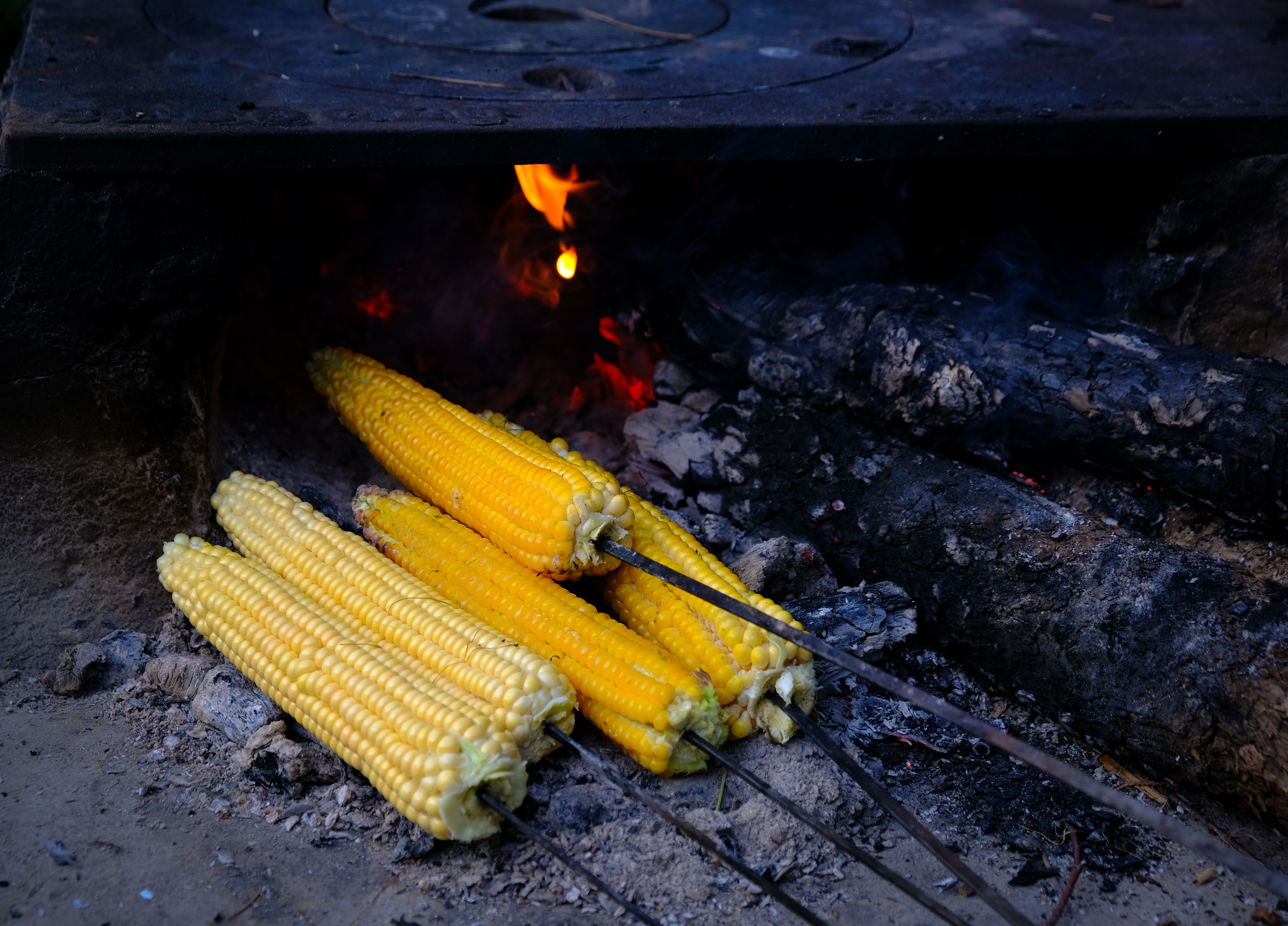 Griddled Grilled Corn with Garlic Parmesan