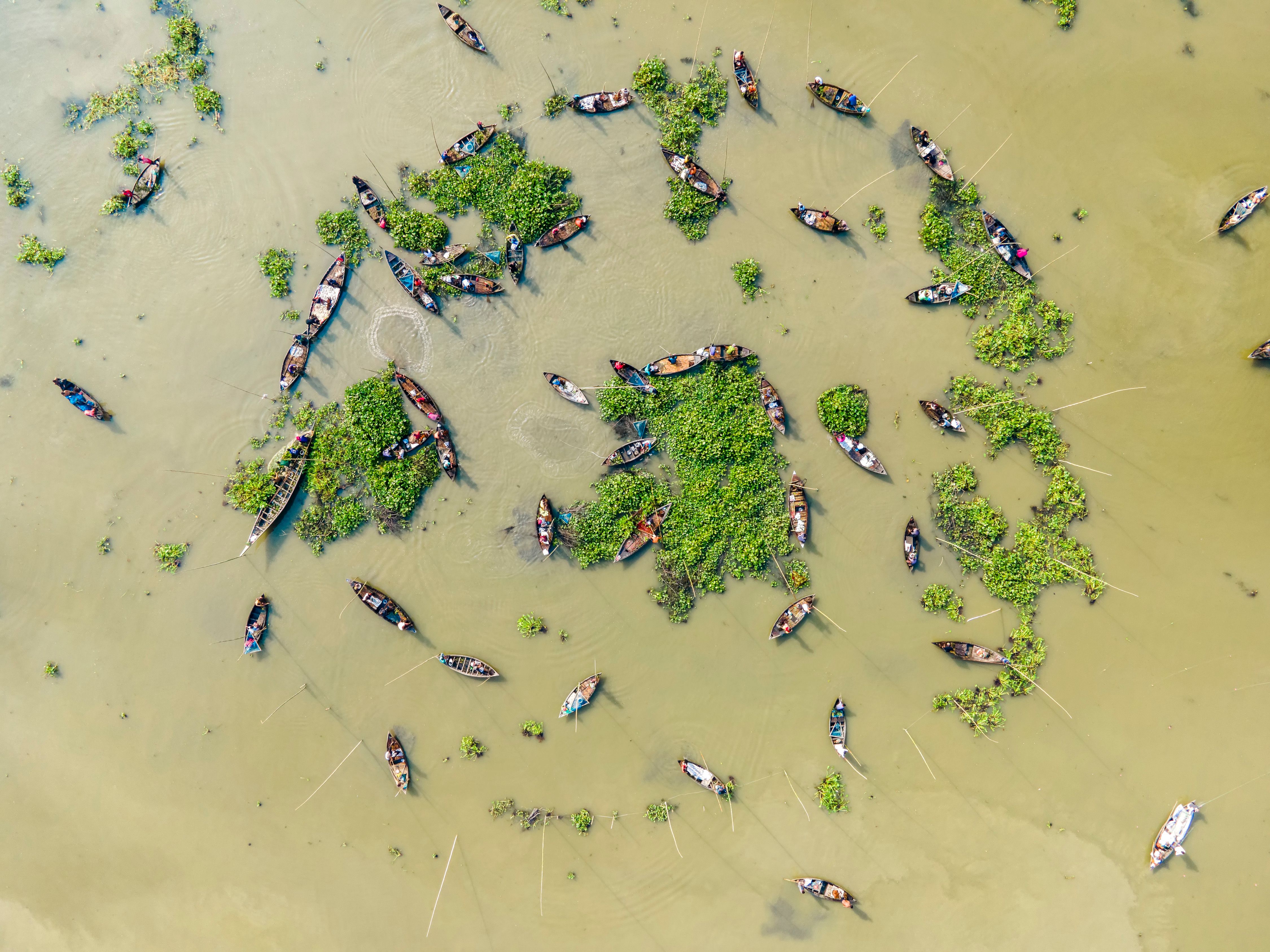 Aerial view of boats in the water · Free Stock Photo