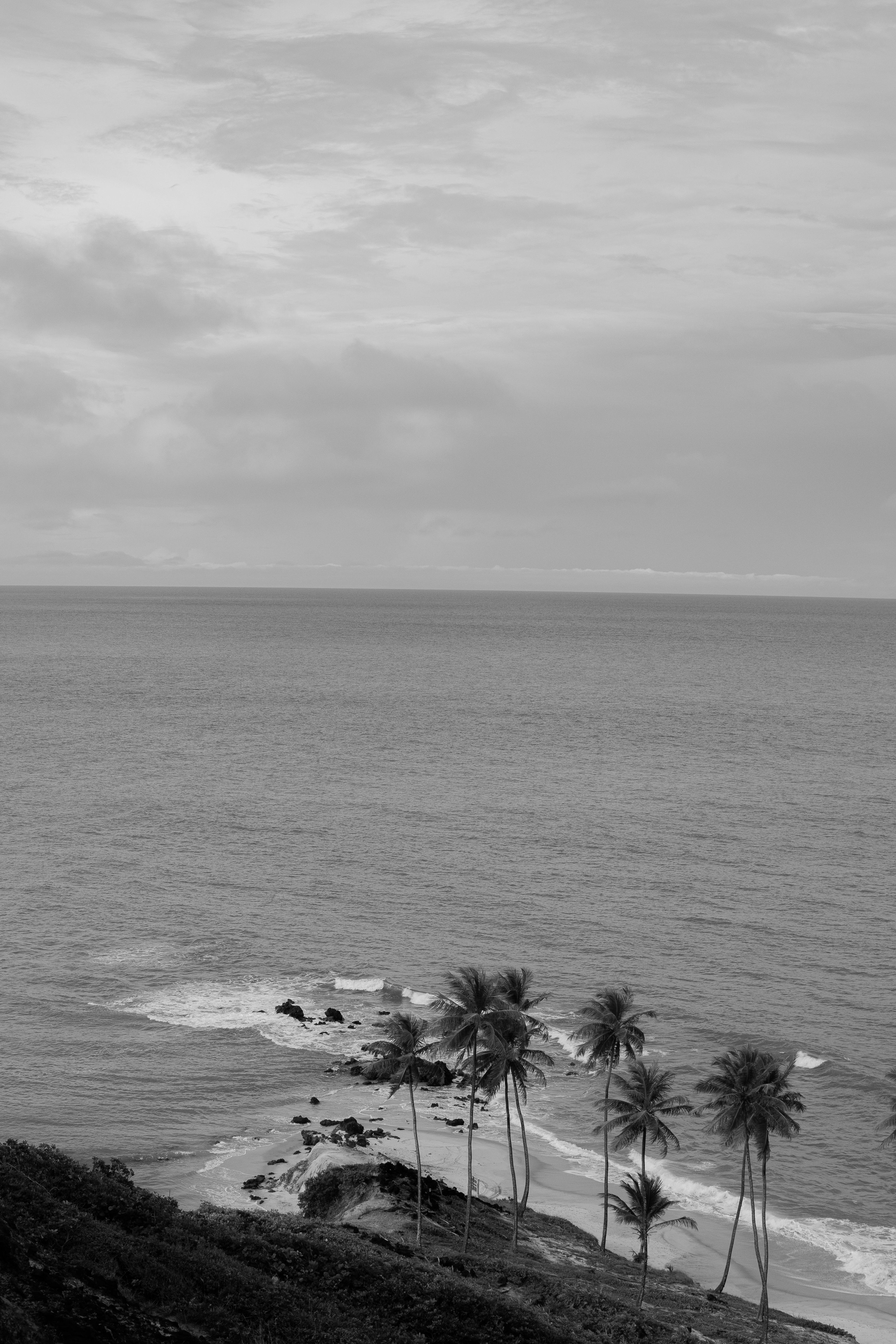 Black and white photo of the ocean and a beach · Free Stock Photo