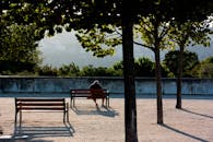 公园树下的长凳上坐着一个人，四周绿树环绕，树影宁静