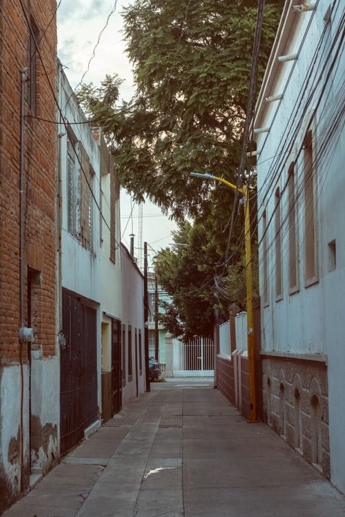 Free Explore the charm of a narrow urban alley flanked by buildings and lush trees. Stock Photo