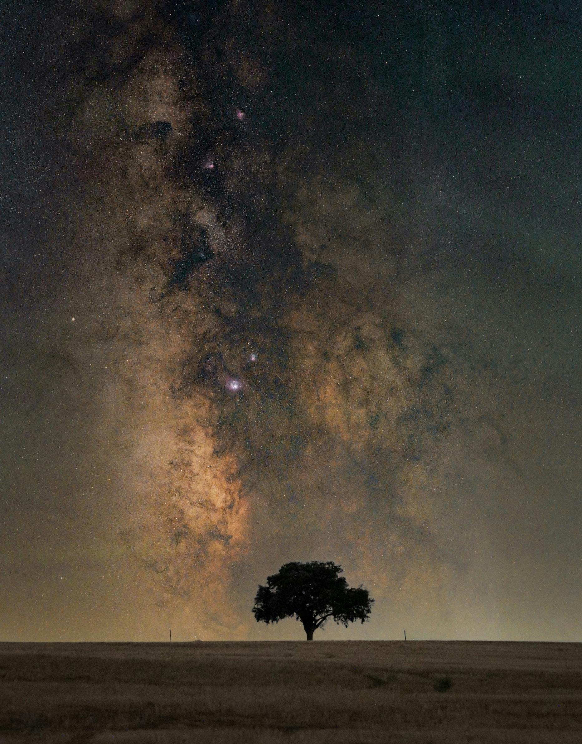 A lone tree stands silhouetted against the vibrant Milky Way in a clear night sky.