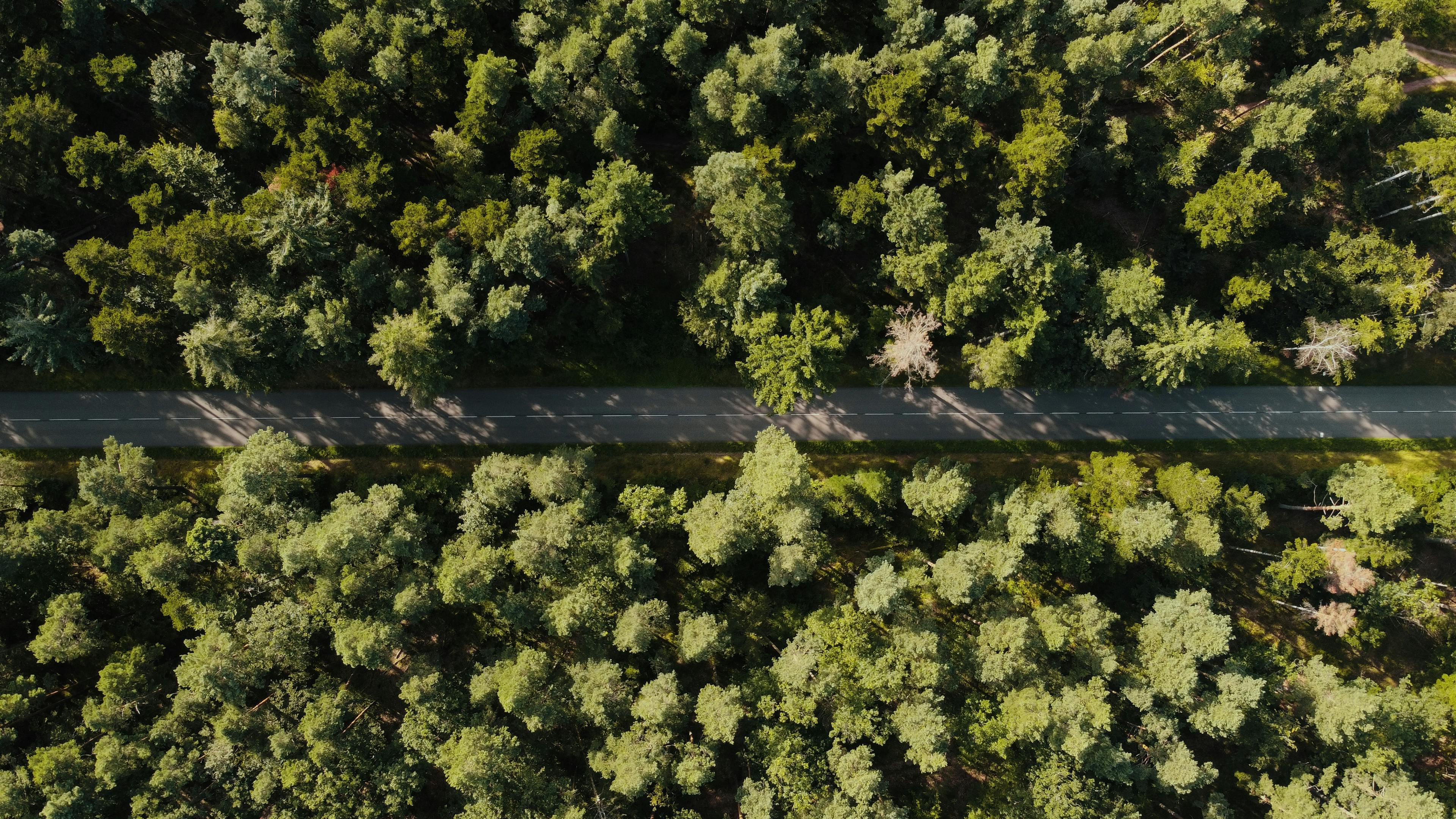 corporate governance esg governance part of esg — Photo by Julien Goettelmann on Pexels