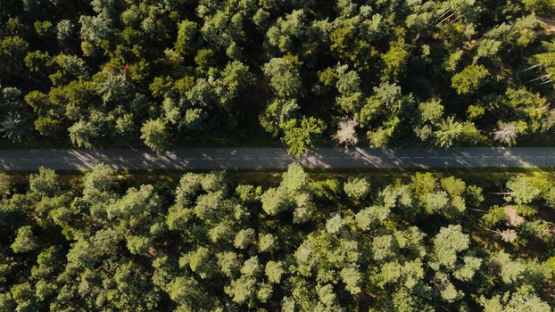 Drone shot of a road cutting through dense forest in Kintzheim, France.