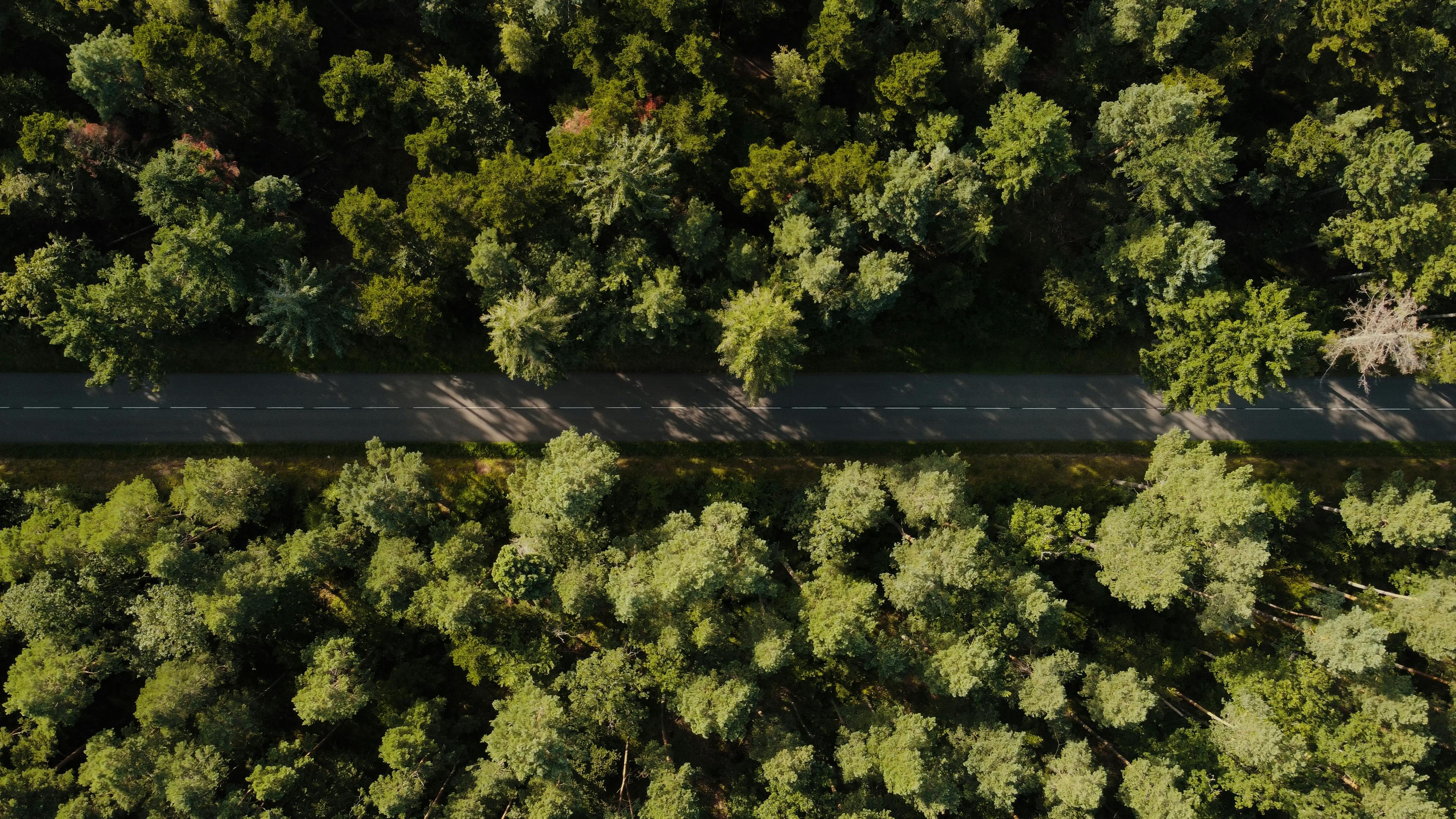 corporate governance esg — Photo by Julien Goettelmann on Pexels