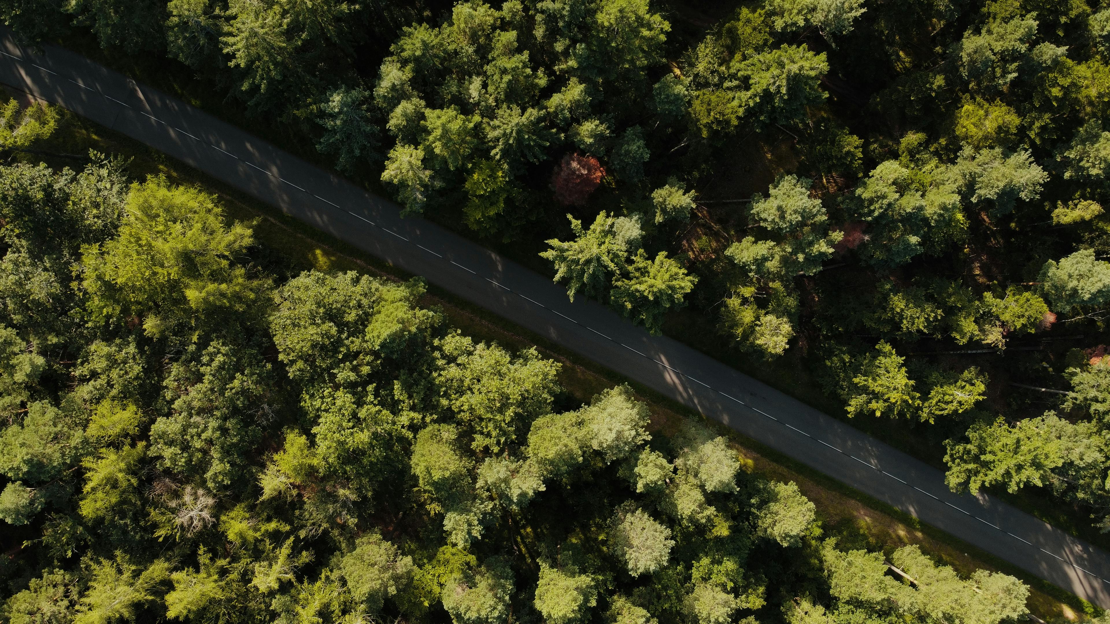 ACRES ESG, Executive Compensation, and Corporate Governance: 2025 SEC Filing Overview — Photo by Julien Goettelmann on Pexels