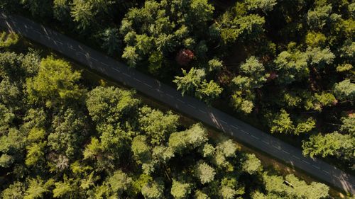 Free A drone captures a road winding through the lush forest of Kintzheim, France, during daytime. Stock Photo