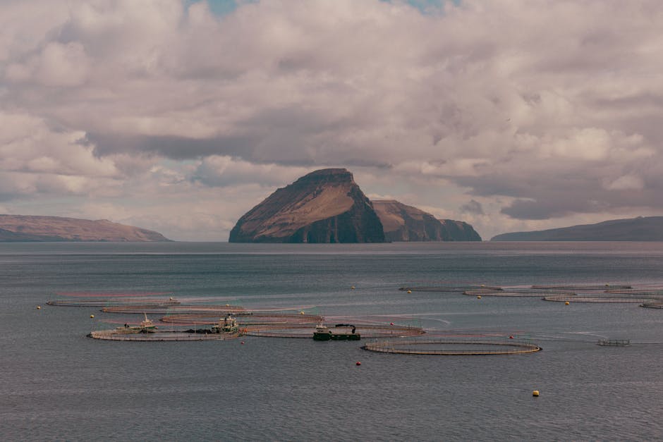 Serene coastal landscape featuring aquaculture nets against rugged cliffs in the Faroe Islands.