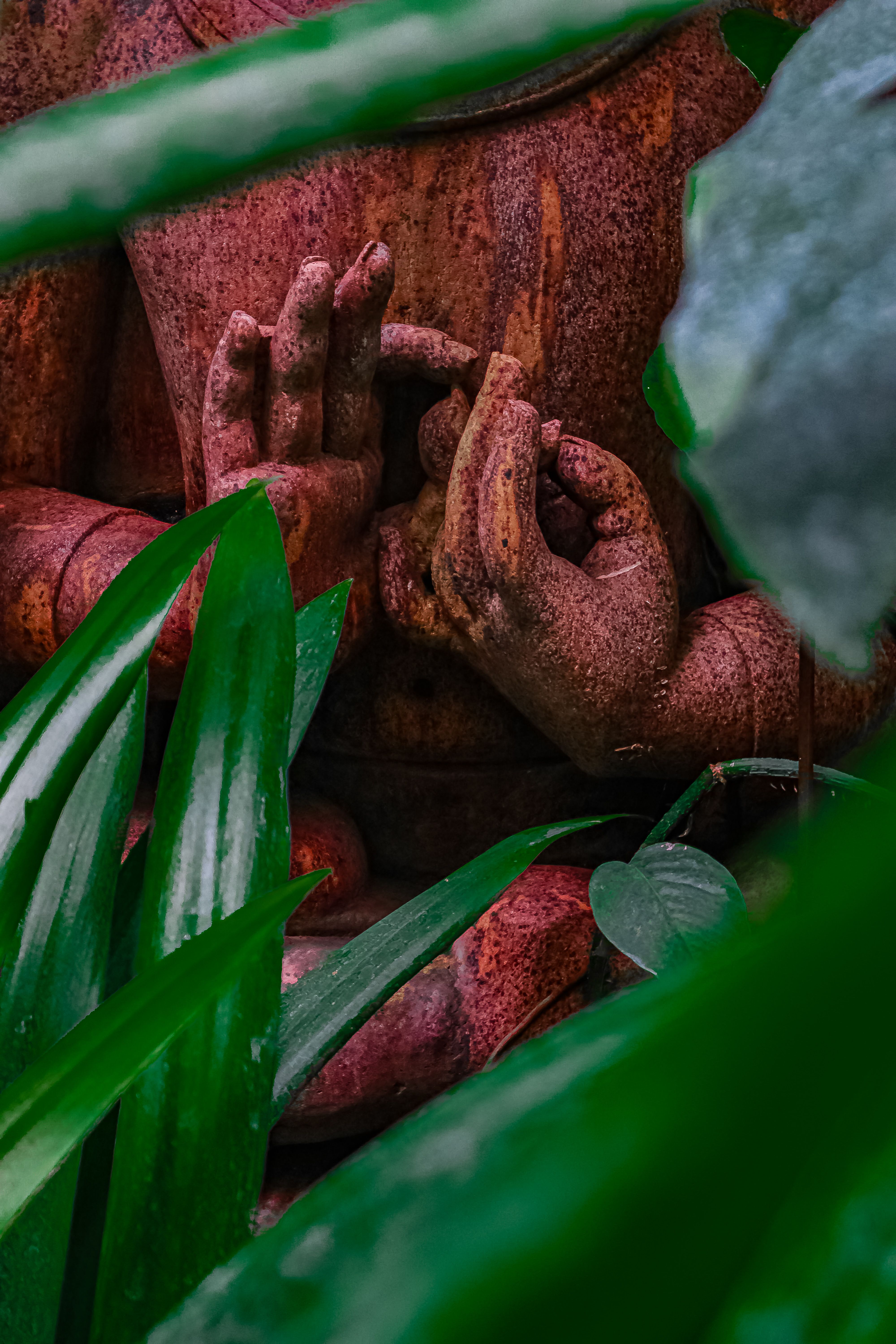 A tranquil Buddha statue surrounded by vibrant green leaves, capturing a serene outdoor garden moment.